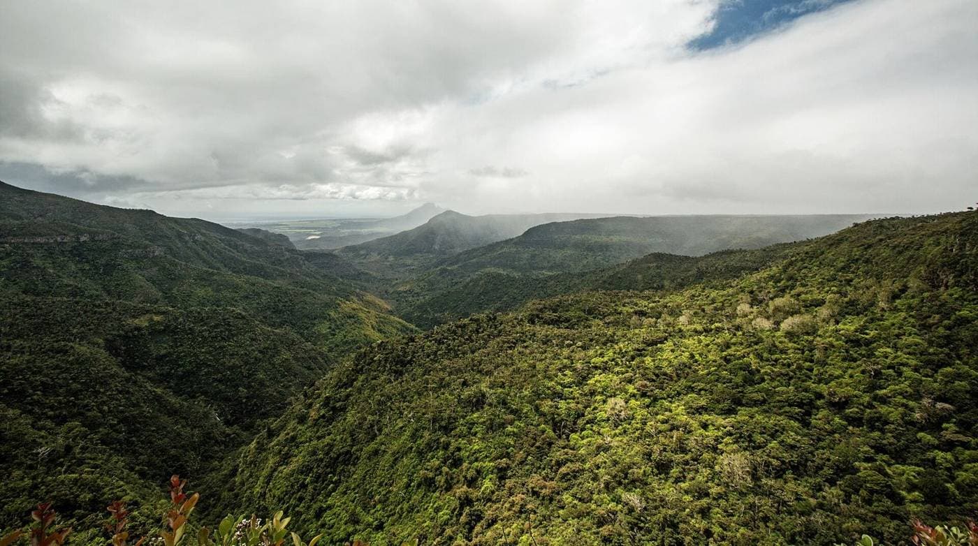 Black River Gorges National Park, Mauritius