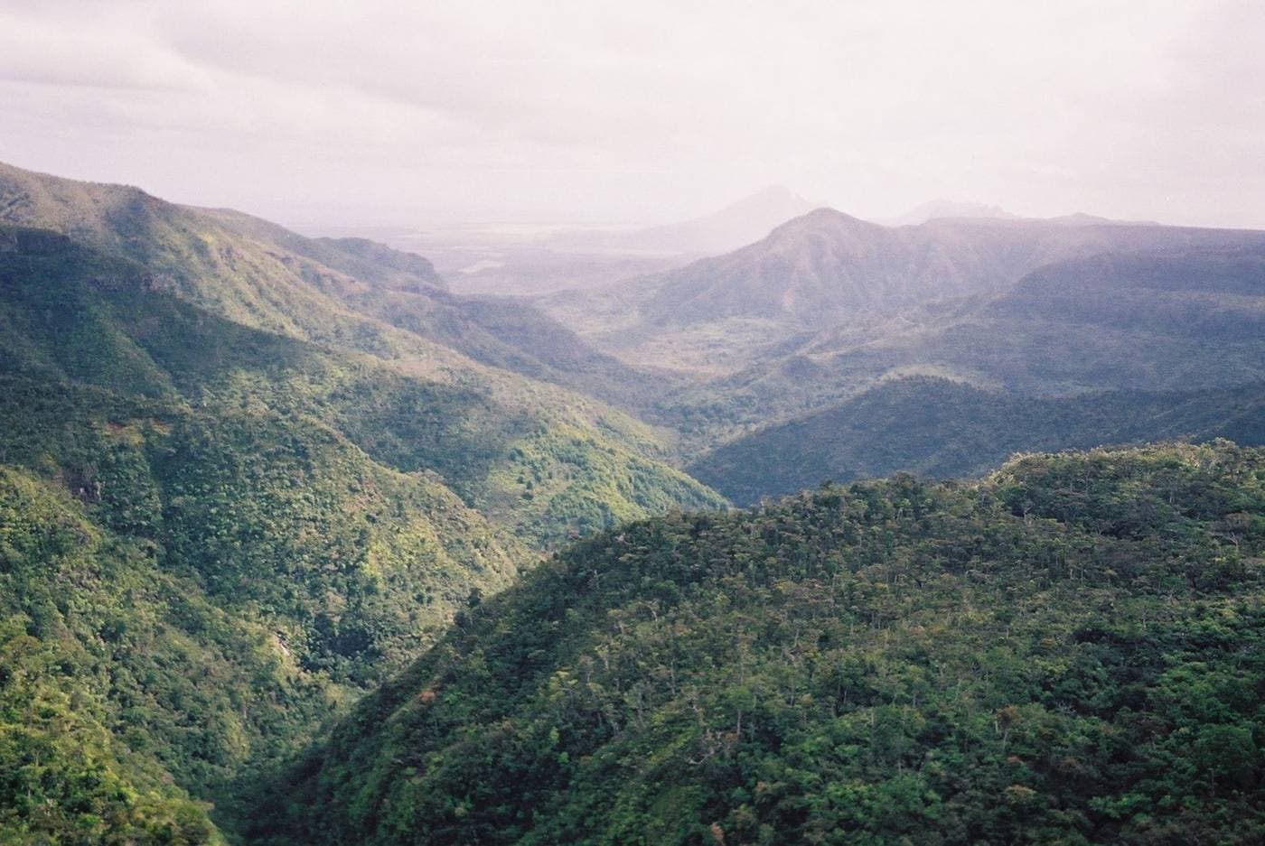 Black River Gorges National Park, Mauritius