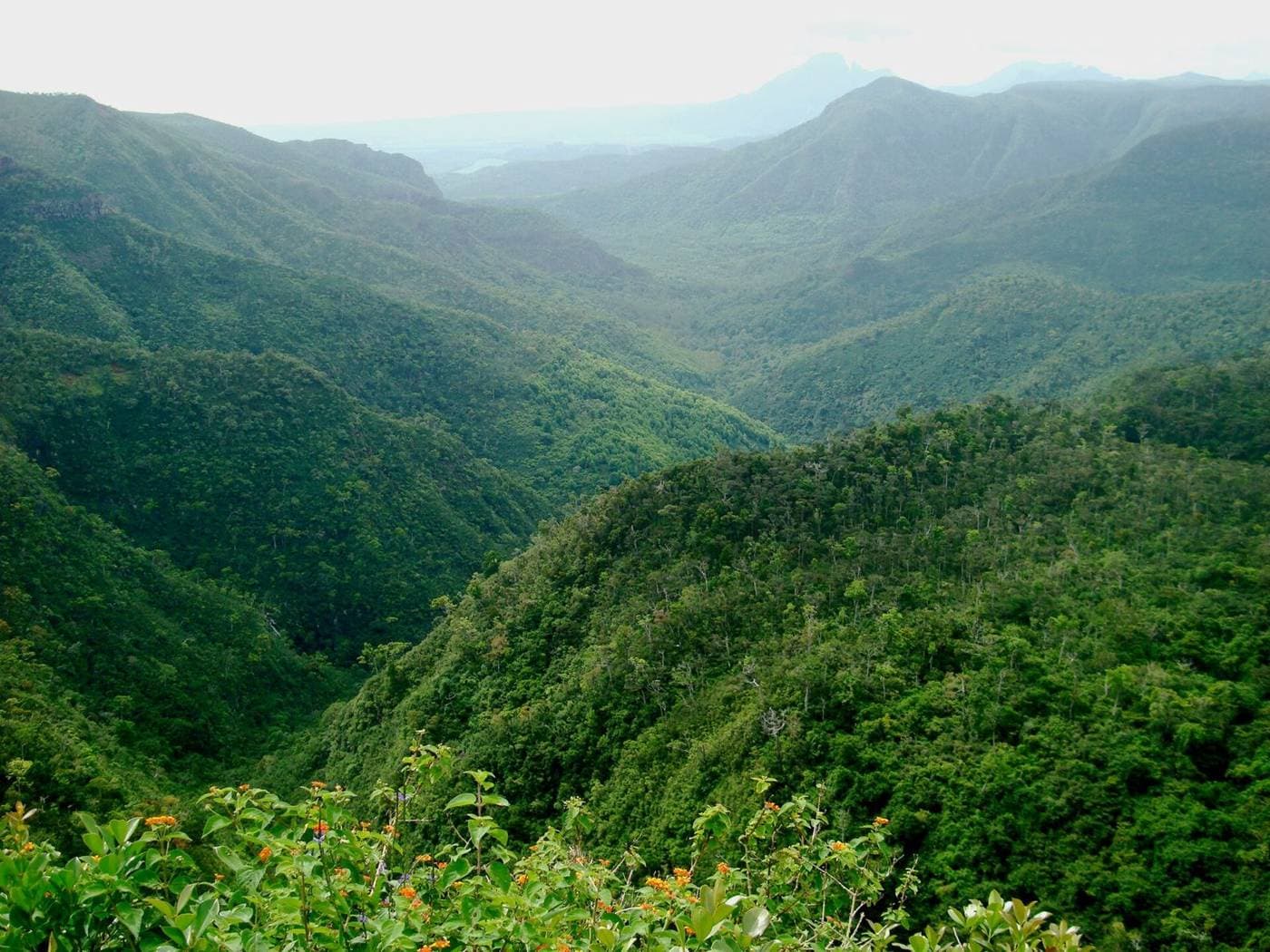 Black River Gorges National Park, Mauritius