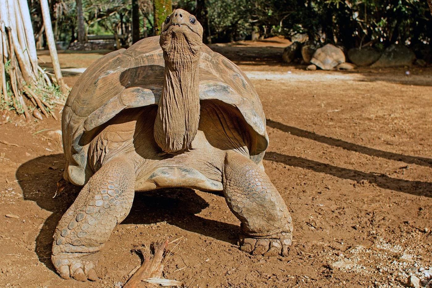 La Vanille Nature Park, Mauritius